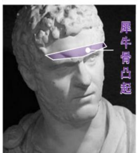 紫微斗数配图