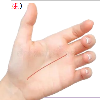 紫微斗数配图